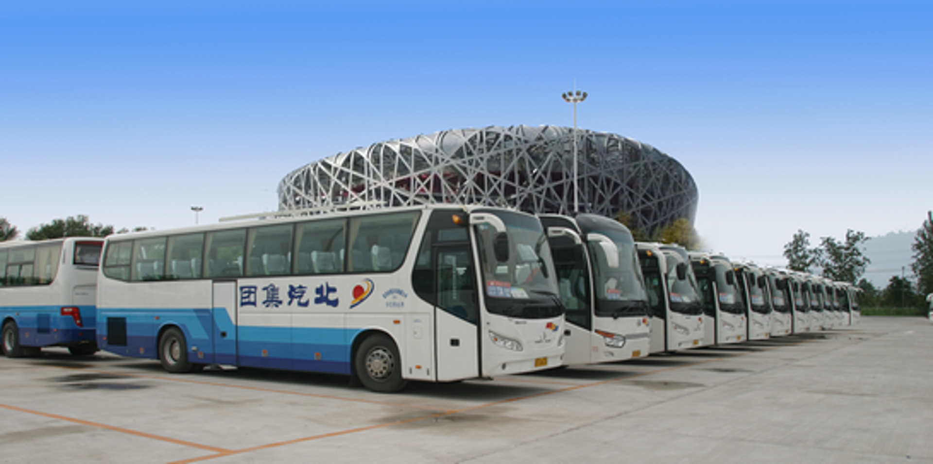 中龙控股实业